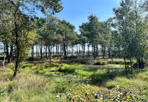 23-09-11 13-34-18 6692